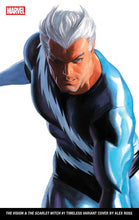 Load image into Gallery viewer, Alex Ross Timeless 2025 Bundle