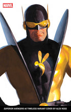 Load image into Gallery viewer, Alex Ross Timeless 2025 Bundle