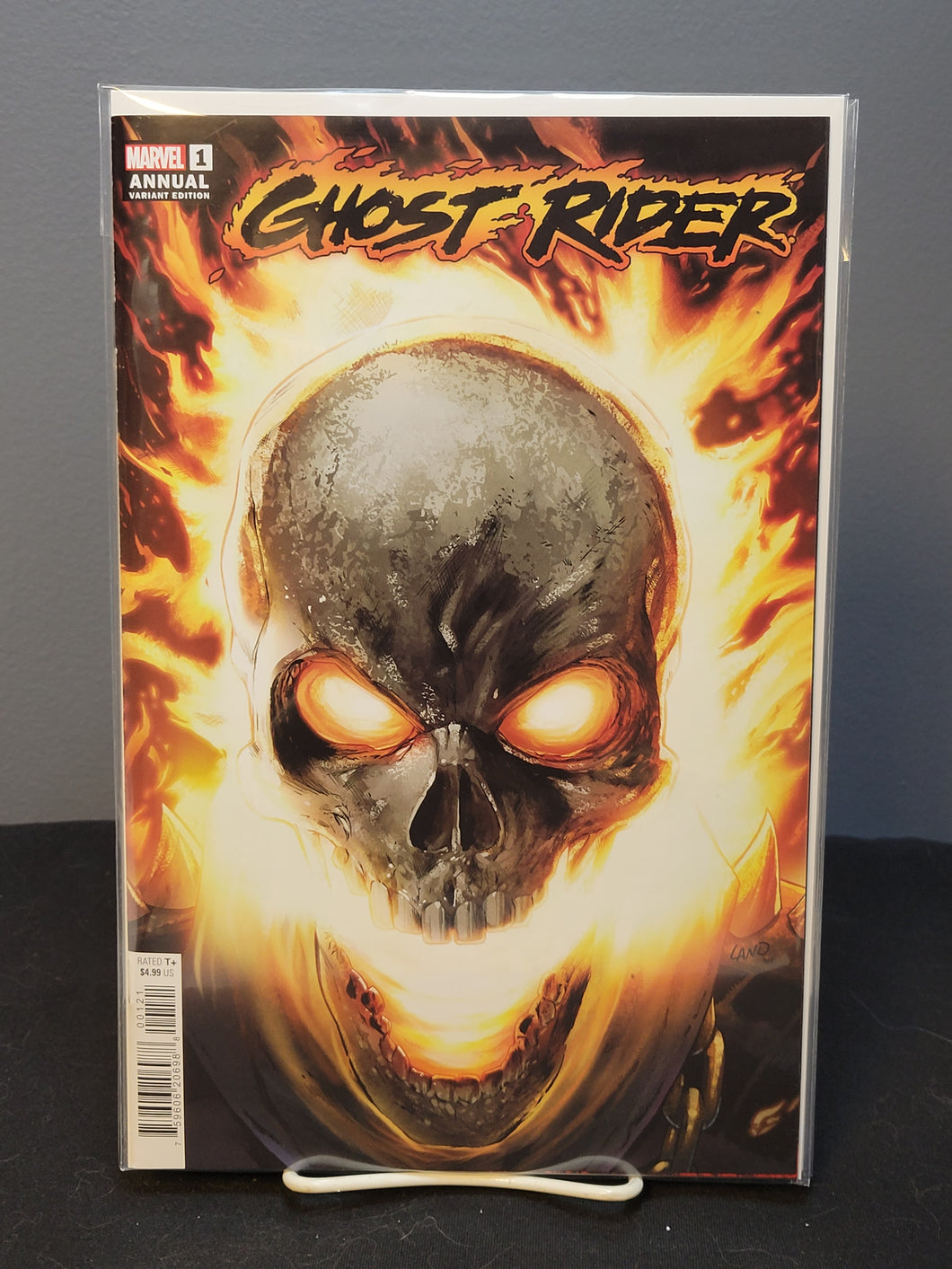 Ghost Rider Annual #1 Variant