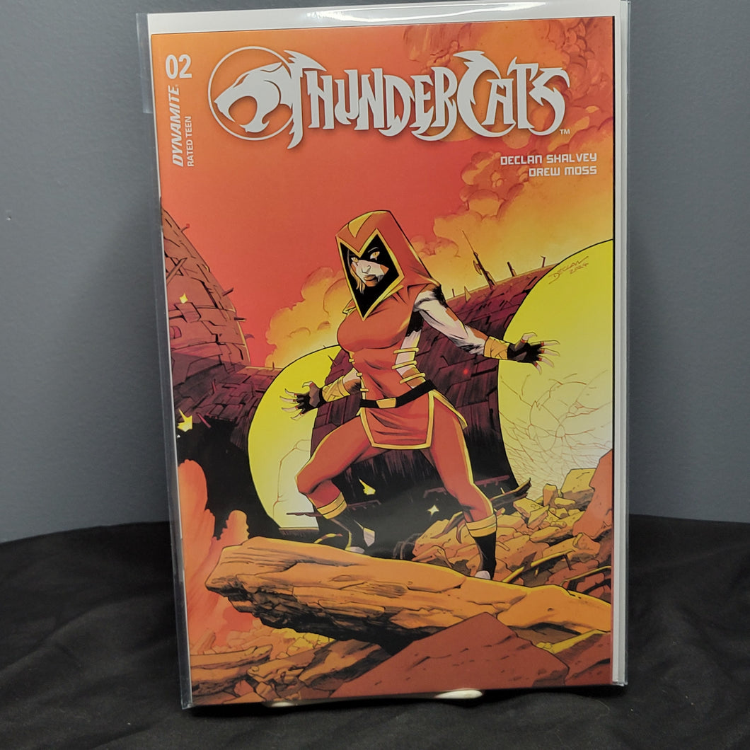 Thundercats #2 Variant