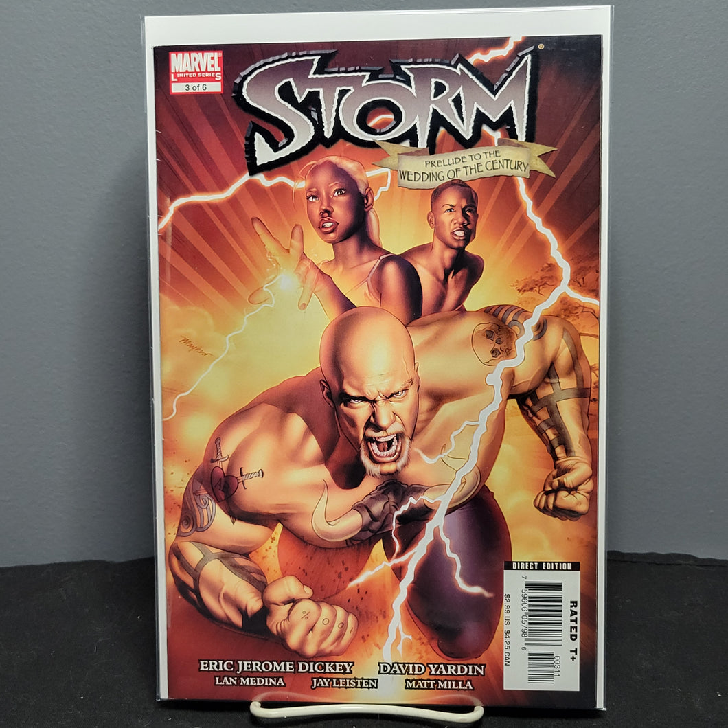 Storm #3