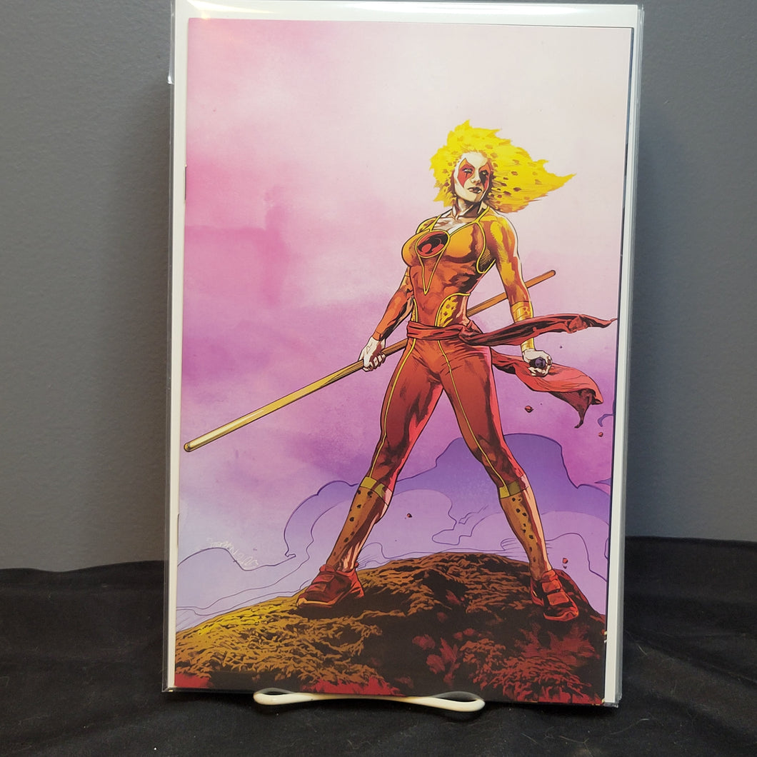 Thundercats #5 1:15 Variant