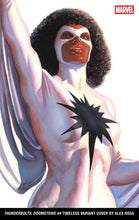 Load image into Gallery viewer, Alex Ross Timeless 2025 Bundle
