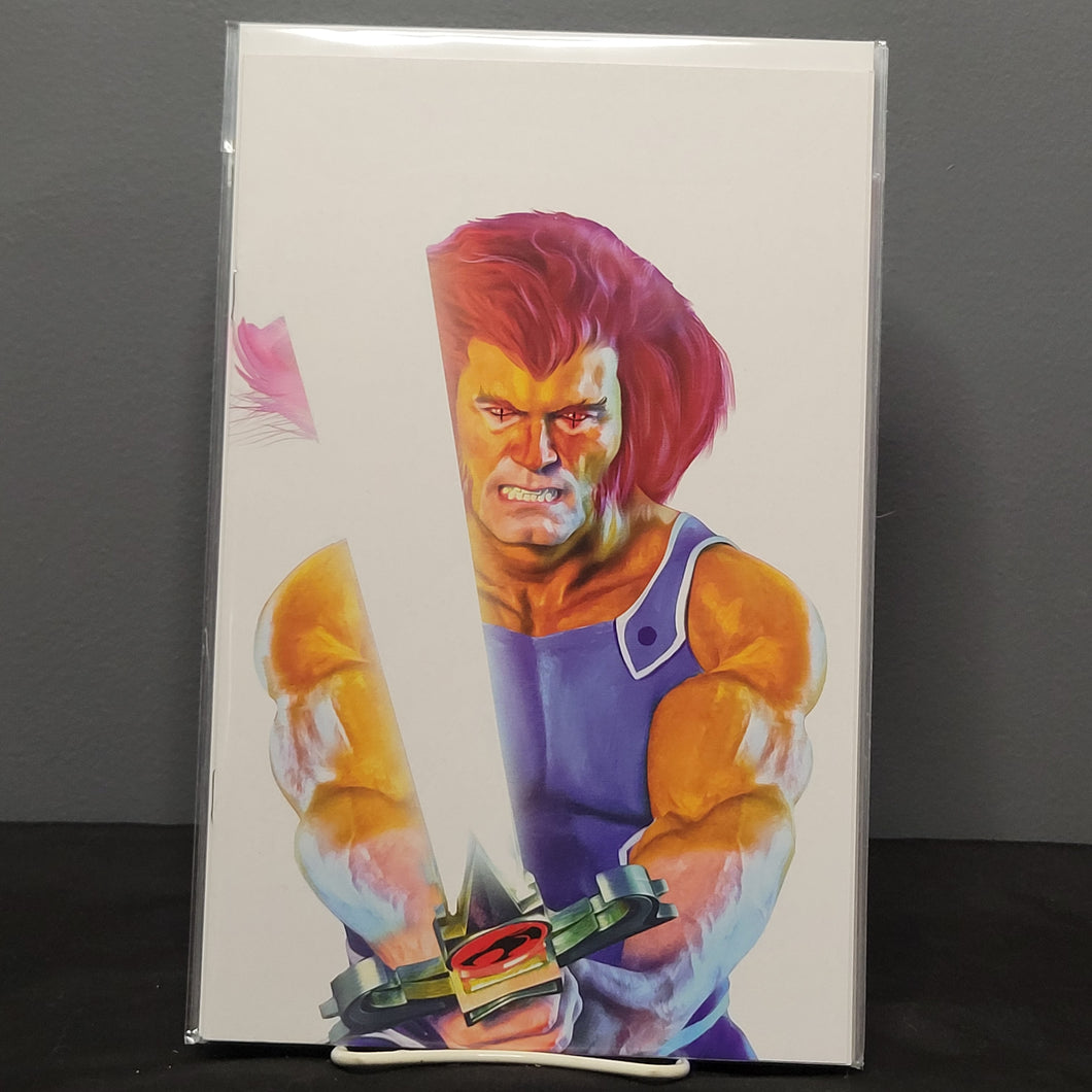 Thundercats #15 1:7 Spears Variant
