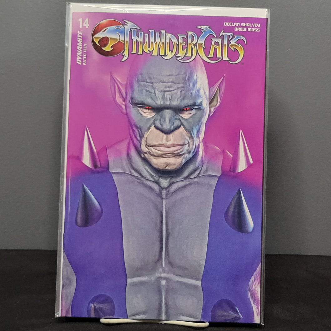 Thundercats #14 1:7 Spears Variant