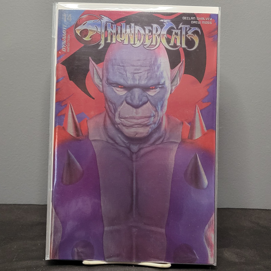 Thundercats #14 1:7 Spears Foil Variant